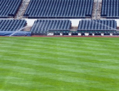 How To Get Recruited In College Baseball